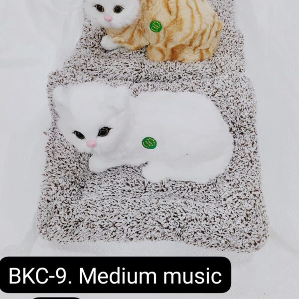 (BKC-9) DESK BOARD MEDIUM MUSIC CAT ( In one pkt 3 pcs )